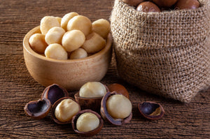 Macadamia – Properties, Benefits and medicinal uses