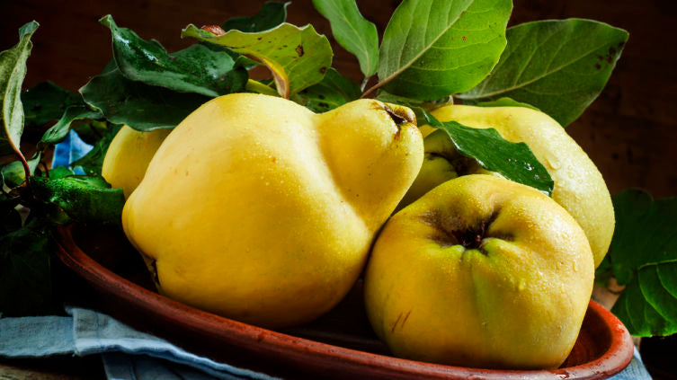 Quince fruit nutrition facts