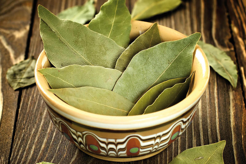 Bay leaf nutrition facts