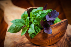 Why everyone should eat basil